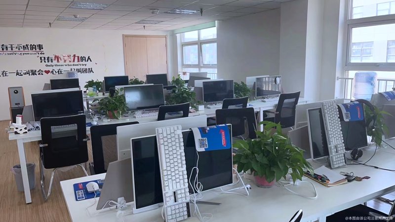 市场调研公司：解读最新行业趋势